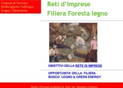 Reti d'Imprese Filiera Foresta legno - OBIETTIVI DELLA RETE DI IMPRESE OPPORTUNITA' DELLA FILIERA BOSCO LEGNO & GREEN ENERGY - Comune di Tarvisio