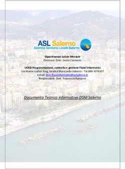 Documento Tecnico informativo DSM Salerno
