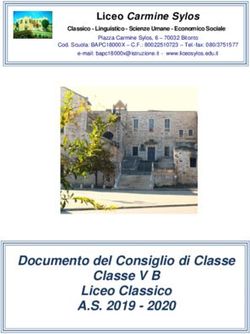 Documento del Consiglio di Classe Classe V B Liceo Classico - A.S. 2019 2020
