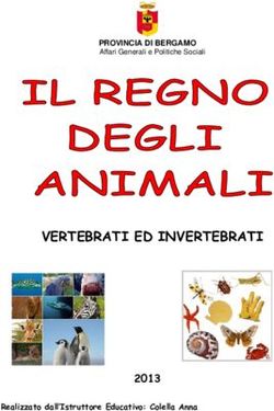 VERTEBRATI ED INVERTEBRATI 2013 - PROVINCIA DI BERGAMO