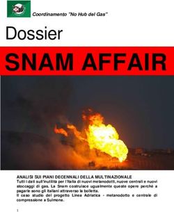 SNAM AFFAIR Dossier - ilGerme