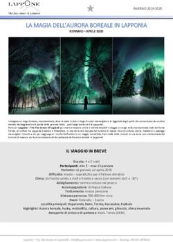 LA MAGIA DELL'AURORA BOREALE IN LAPPONIA - LappOne