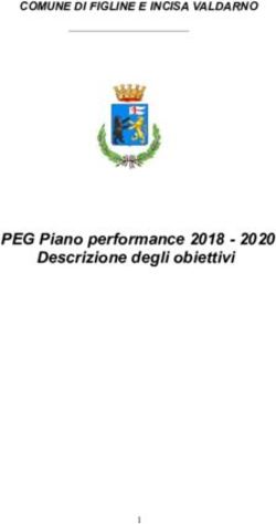 PEG Piano performance 2018 - 2020 Descrizione degli obiettivi - COMUNE DI FIGLINE E INCISA VALDARNO