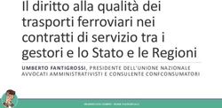 Il diritto alla qualità dei trasporti ferroviari nei contratti di servizio tra i gestori e lo Stato e le Regioni - UMBERTO FANTIGROSSI ...