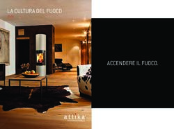 LA CULTURA DEL FUOCO - ACCENDERE IL FUOCO - MASOLINI Stufe ...