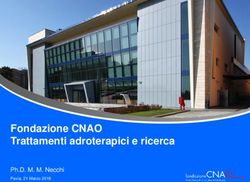 Fondazione CNAO Trattamenti adroterapici e ricerca - Ph.D. M. M. Necchi - Dipartimento di Fisica