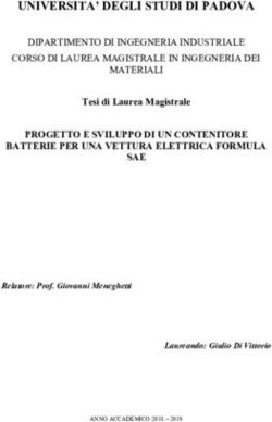 UNIVERSITA' DEGLI STUDI DI PADOVA - DIPARTIMENTO DI INGEGNERIA INDUSTRIALE CORSO DI LAUREA MAGISTRALE IN INGEGNERIA DEI MATERIALI
