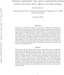 Neutrini in profondit'a: Vita, morte e miracoli dei neutrini rivelati sotto terra, sotto i ghiacci o in fondo al mare