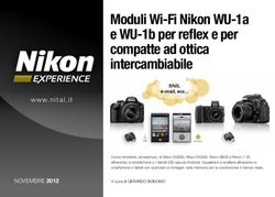 Moduli Wi-Fi Nikon WU-1a e WU-1b per reflex e per compatte ad ottica intercambiabile