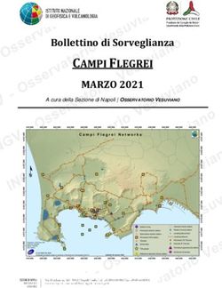CAMPI FLEGREI MARZO 2021 - Bollettino di Sorveglianza - INGV