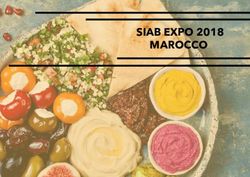 SIAB EXPO 2018 MAROCCO - IBS Italia