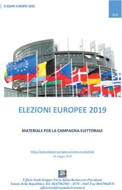 ELEZIONI EUROPEE 2019 - MATERIALE PER LA CAMPAGNA ELETTORALE - Forza Italia - ForzaItalia