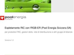 Espletamento RIC con l'RGB-ER (Pool Energia Svizzera SA) - per produttori RIC, gestori della rete di distribuzione e altri gruppi di bilancio