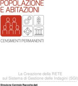 La Creazione della RETE sul Sistema di Gestione delle Indagini (SGI) - Direzione Centrale Raccolta dati