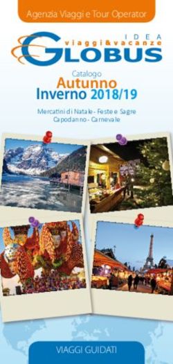 Autunno Inverno 2018/19 - Agenzia Viaggi e Tour Operator - VIAGGI GUIDATI - Mercatini di Natale - Feste e Sagre - Globus Idea
