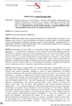 Giunta Regionale della Campania - Comune Santo Stefano ...