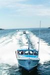 FPT INDUSTRIAL - APPLICAZIONI MARINE COMMERCIALI - Our efficiency. Your edge.