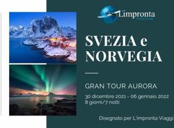 SVEZIA e NORVEGIA GRAN TOUR AURORA - 30 dicembre 2021 - 06 gennaio 2022 8 giorni/7 notti - L'Impronta Viaggi