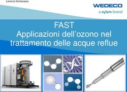 FAST Applicazioni dell'ozono nel trattamento delle acque reflue - Lorenzo Gomarasca