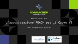 L'autorizzazione REACH per il Cromo VI - Dott. Tommaso Castellan Webinar 26-02-2021