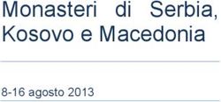 Monasteri di Serbia, Kosovo e Macedonia - 8-16 agosto 2013