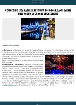 COMACCHIO (FE), NATALE E FESTIVIT&Agrave; 2018-2019, TANTI EVENTI SULL'ACQUA DI GRANDE SUGGESTIONE