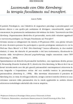 Lavorando con Otto Kernberg: la terapia focalizzata sul transfert.