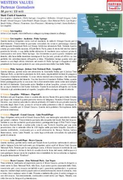 WESTERN VALUES Partenze Giornaliere