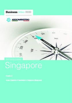 Singapore - Business Atlas - Assocamerestero