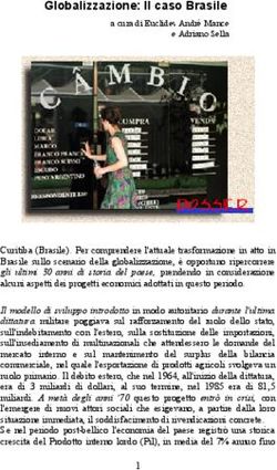 Globalizzazione: Il caso Brasile - a cura di Euclides André Mance e Adriano Sella