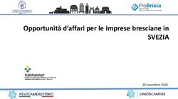 Opportunit&agrave; d'affari per le imprese bresciane in - SVEZIA 20 novembre 2020