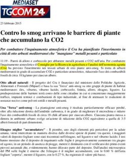 Contro lo smog arrivano le barriere di piante che accumulano la CO2