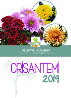 Crisantemi ALBANI E RUGGIERI - YOUNG PLANTS, BREEDING & PRODUCTION