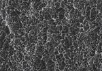 IMPLANT SERIES ESAGONO INTERNO - ESAGONO ESTERNO MONOFASICO ZIGOMATICO - DL Odontoservice