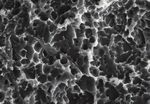 IMPLANT SERIES ESAGONO INTERNO - ESAGONO ESTERNO MONOFASICO ZIGOMATICO - DL Odontoservice