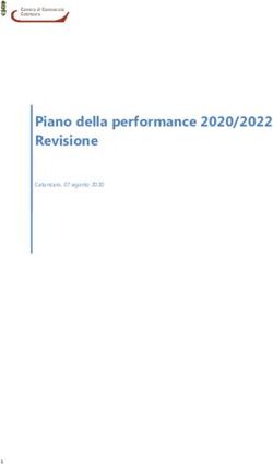 Piano della performance 2020/2022 Revisione - Camera di ...