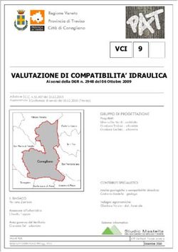 VCI 9 VALUTAZIONE DI COMPATIBILITA' IDRAULICA