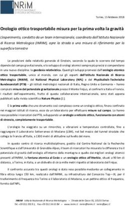 OROLOGIO OTTICO TRASPORTABILE MISURA PER LA PRIMA VOLTA LA GRAVITÀ - INRIM