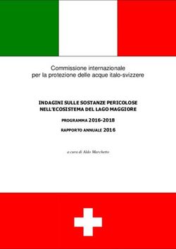 Commissione internazionale per la protezione delle acque italo-svizzere - INDAGINI SULLE SOSTANZE PERICOLOSE NELL'ECOSISTEMA DEL LAGO MAGGIORE ...