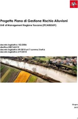 Progetto Piano di Gestione Rischio Alluvioni - Unit of Management Regione Toscana (ITCAREG09) - Autorità di ...