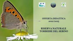 RISERVA NATURALE TORBIERE DEL SEBINO - OFFERTA DIDATTICA 2022/2023