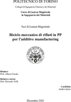 POLITECNICO DI TORINO - Collegio di Ingegneria Chimica e dei Materiali