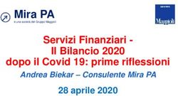 Mira PA Servizi Finanziari - Il Bilancio 2020 dopo il Covid 19: prime riflessioni - Assistenza Maggioli