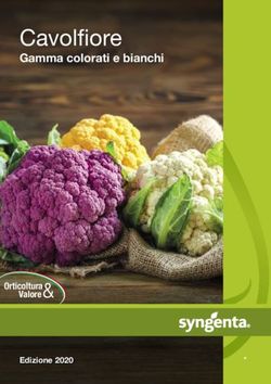Cavolfiore Gamma colorati e bianchi - Orticoltura Valore - Syngenta Italia