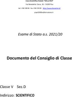 Documento del Consiglio di Classe - Liceo Scientifico Ulisse ...