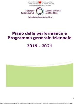Piano delle performance e Programma generale triennale 2019 2021