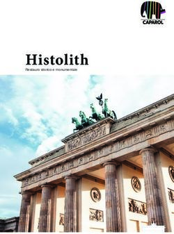 Histolith Restauro storico e monumentale - Caparol