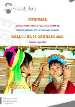 DALL'11 AL 26 GENNAIO 2021 - MYANMAR ETNIE NASCOSTE E PAGODE DORATE - Viaggi Tribali