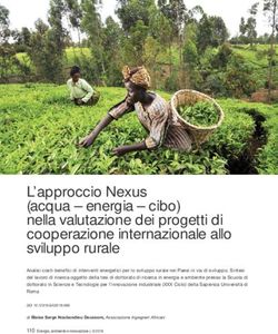 L'approccio Nexus (acqua - energia - cibo) nella valutazione dei progetti di cooperazione internazionale allo sviluppo rurale
