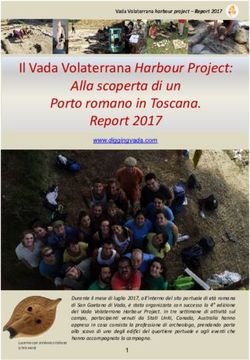 Alla scoperta di un Porto romano in Toscana. Report 2017 - Report_Vada_2017 modalità ...